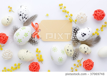 Easter eggs and mimosa flowers on white background Easter eggs and mimosa flowers on white background 37069748