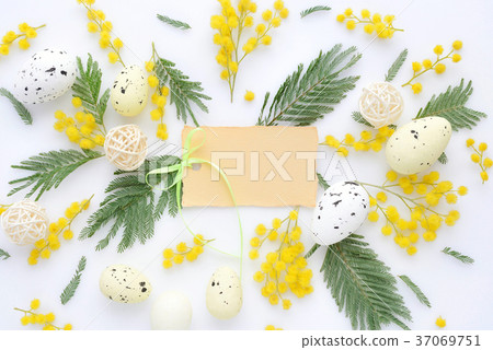 Easter floral background, eggs and mimosa flowers 37069751