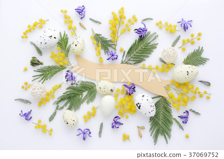 Easter eggs and mimosa and hyacinth flowers Easter eggs and mimosa and hyacinth flowers 37069752