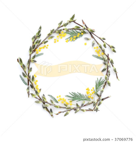 Pussy-willow branches with mimosa circle frame Pussy-willow branches with mimosa circle frame 37069776