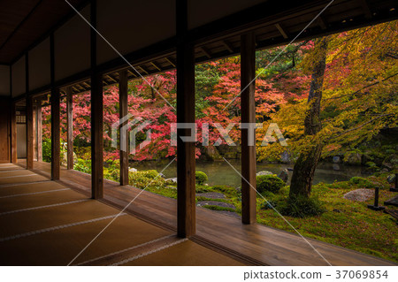 Samurai-ku,京都秋葉 Samurai-ku,京都秋葉 37069854