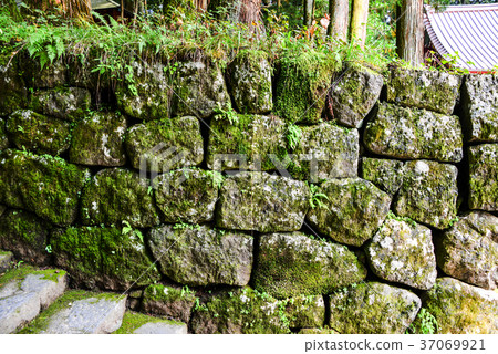 Nikko Toshogu Ishigaki 37069921