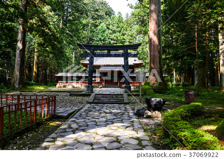 Nikko Toshogu Shrine Makoto 37069922
