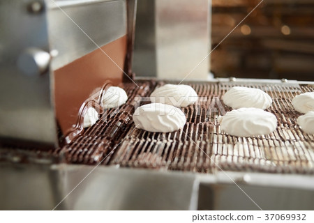 Confectionary conveyor line is covering Confectionary conveyor line is covering 37069932