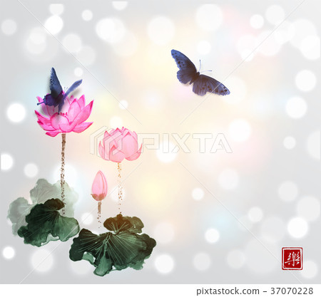 Big butterflies and lotus flowers on white glowing 37070228