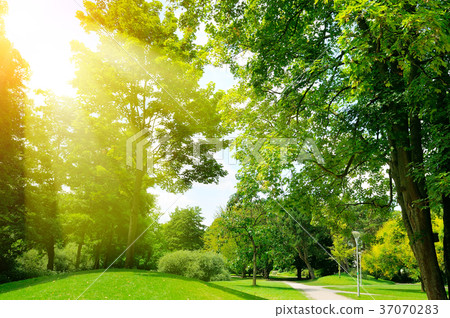 Bright sunny day in park. 37070283