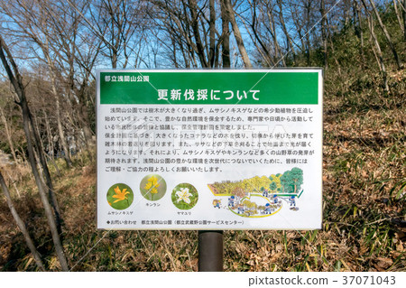 Asamayama Park and Asama Shrine Asamayama Park and Asama Shrine 37071043