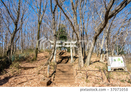 Asamayama Park and Asama Shrine 37071058