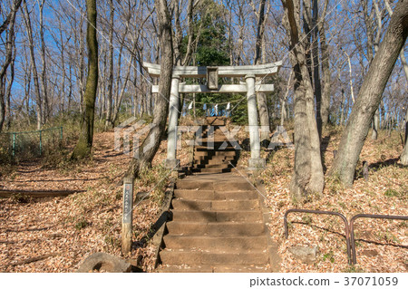 Asamayama Park and Asama Shrine 37071059