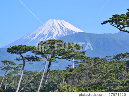 Scenery from Senbon Matsubara-88159 37071320