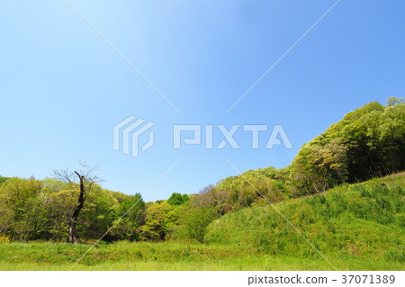 Spring valley scenery 37071389