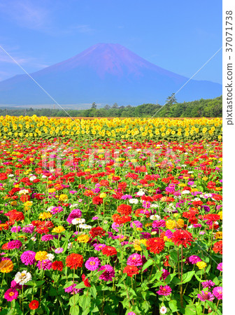Summer landscape from Flower City Park-777767 37071738