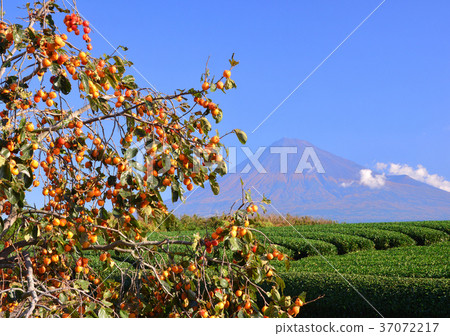 從Iwamoto-4727山的秋天風景 從Iwamoto-4727山的秋天風景 37072217