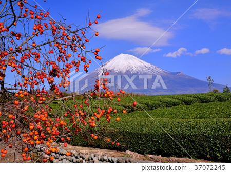 從Iwamoto-4760山的秋天風景 37072245