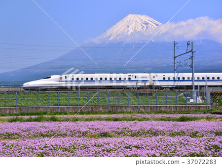 Renge Field, Shinkansen and Mt. Fuji-5472 Renge Field, Shinkansen and Mt. Fuji-5472 37072283