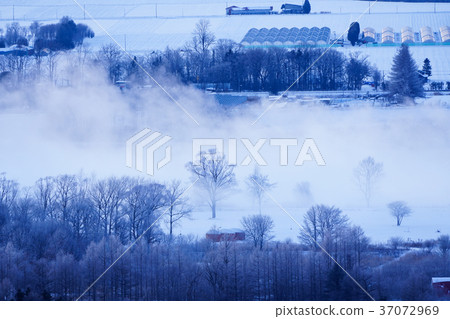 Winter landscape 37072969