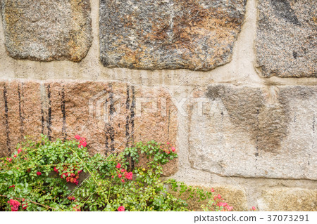 Wall of stone with flowers Wall of stone with flowers 37073291