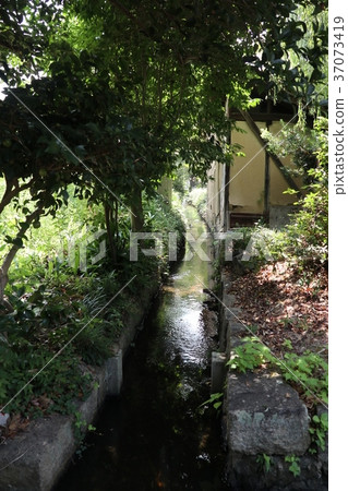 仁源茶館老房子 37073419