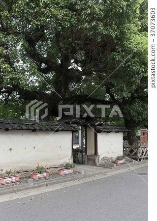 便宜的白色牆壁主閘 便宜的白色牆壁主閘 37073603