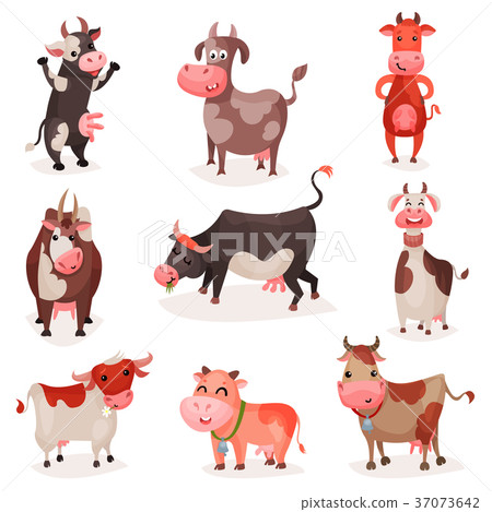 Cute cow characters set, funny cows in different Cute cow characters set, funny cows in different 37073642