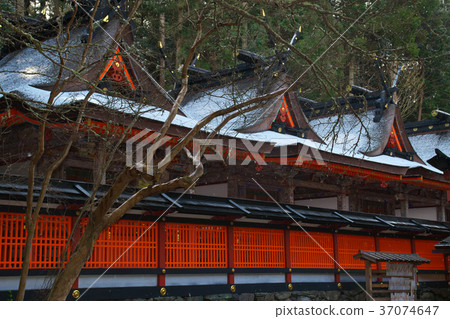Snow Niyu Tokyo Hiya Shrine Kugigicho Wakayama Prefecture Snow Niyu Tokyo Hiya Shrine Kugigicho Wakayama Prefecture 37074647