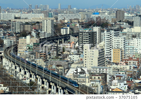運行東京街道的新幹線(E5隼鳥+ E6小町) 運行東京街道的新幹線(E5隼鳥+ E6小町) 37075105