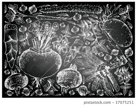 Root and Tuberous Vegetables on Chalkboard Root and Tuberous Vegetables on Chalkboard 37075251