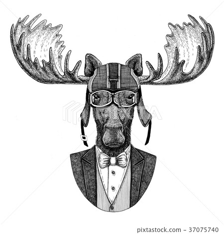 Moose, elk Animal wearing jacket with bow-tie and 37075740