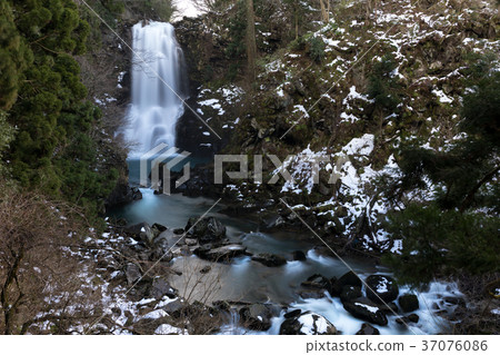 白色在Naso落在冬天 37076086