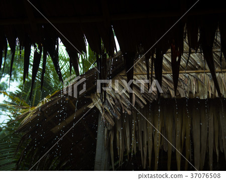 Squall of the village near Vietnam Can Tho Squall of the village near Vietnam Can Tho 37076508