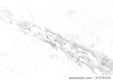 White marble texture background, White stone floor White marble texture background, White stone floor 37076509