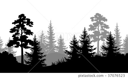 Seamless Background, Summer Forest Silhouettes 37076523
