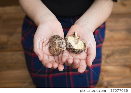 孩子的手用乾什塔克菇 孩子的手用乾什塔克菇 37077086