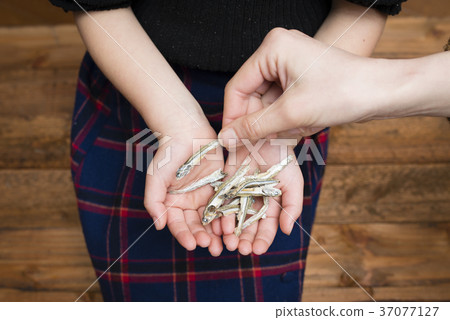 Parent and child's hand holding a boil 37077127
