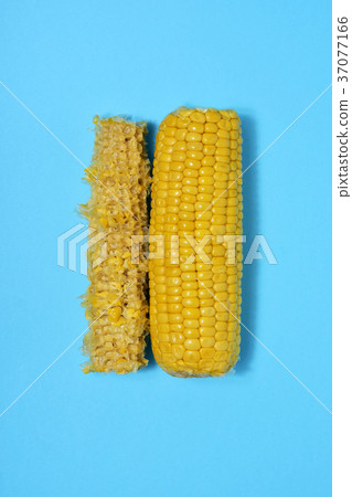 corn on the cob on a blue background 37077166