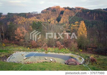 Pretty wooden pier at natural swimming pond Pretty wooden pier at natural swimming pond 37077980