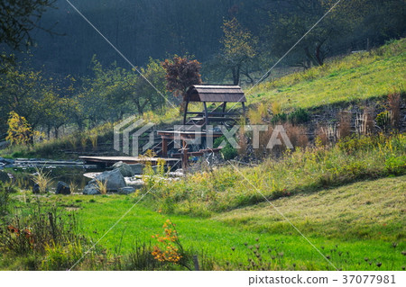 Pretty wooden pier at natural swimming pond Pretty wooden pier at natural swimming pond 37077981