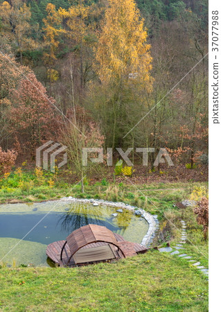 Pretty wooden pier at natural swimming pond Pretty wooden pier at natural swimming pond 37077988
