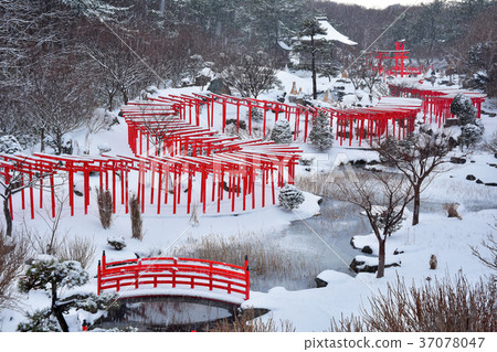 高山稻荷神社在冬天 高山稻荷神社在冬天 37078047