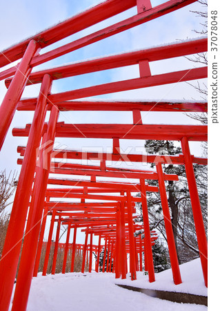 高山稻荷神社在冬天 37078048