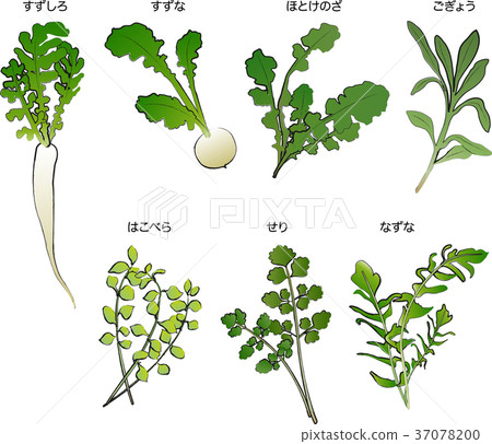 七種春天的草藥 37078200