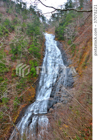 Kohei Eidaki Akita Prefecture Kitaakita City 37078221