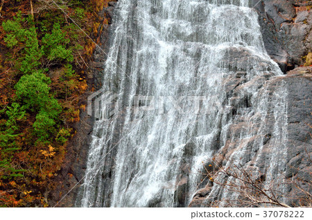 Kohei Eidaki Akita Prefecture Kitaakita City 37078222