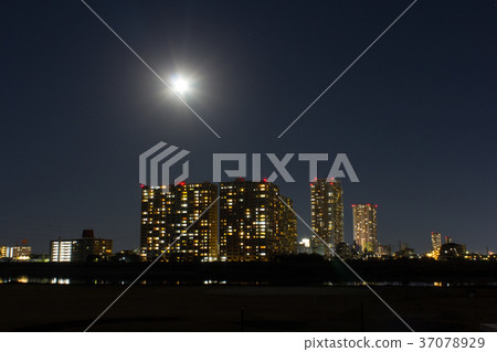 江戶川河床的夜景和超級月亮 江戶川河床的夜景和超級月亮 37078929