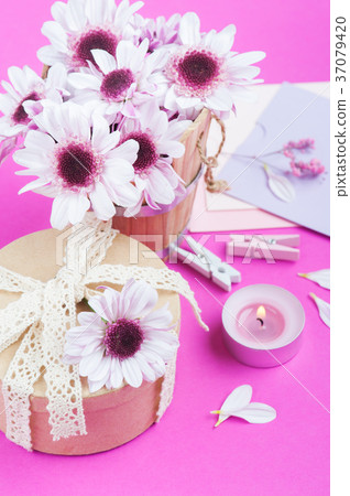 Pink chrysanthemum, kraft gift Pink chrysanthemum, kraft gift 37079420