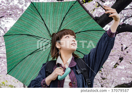 A colorful cherry blossom woman holding an umbrella A colorful cherry blossom woman holding an umbrella 37079587