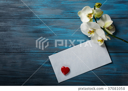 White Orchid on blue wooden background White Orchid on blue wooden background 37081058