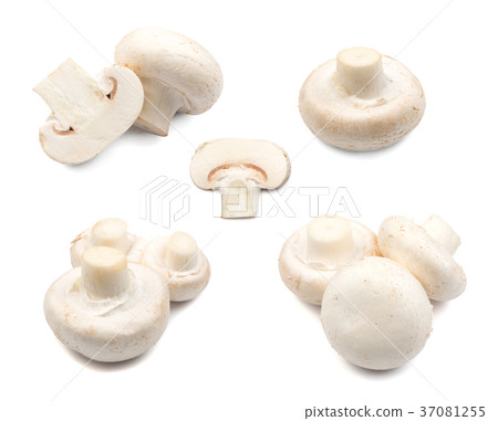 Champignons isolated on white 37081255