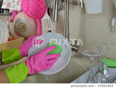 Washing a plate 37081903