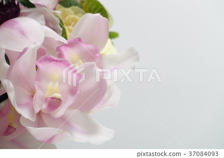 切花研討會 37084093